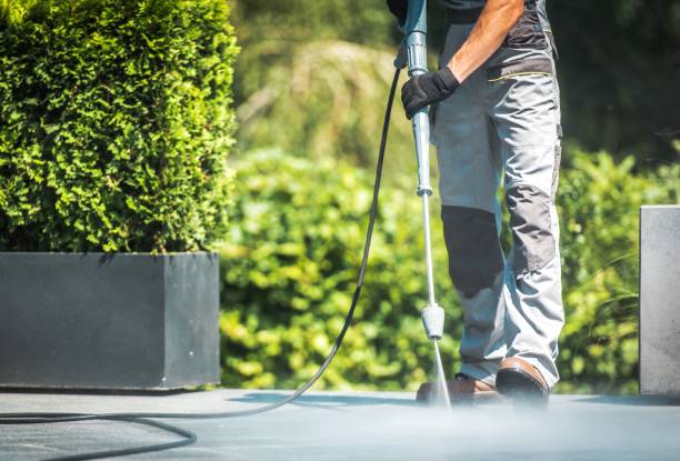 Best Soft Washing  in Simi Valley, CA